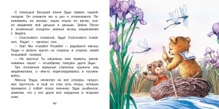 Путешествие на воздушных шарах фото книги 5