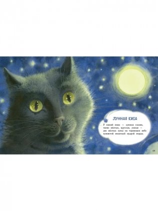 Акварельные коты фото книги 6