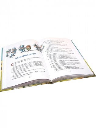 Горгели и тайна ледника фото книги 5