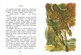 Рассказы фото книги 3