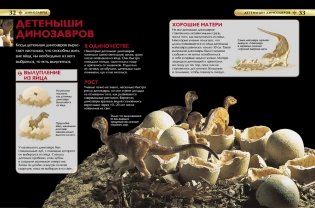 Динозавры. Детская энциклопедия фото книги 3