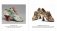 Shoes Hb фото книги маленькое 5