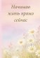 Начинаю жить прямо сейчас! Поле цветов. Ежедневник недатированный (А5, 72 л.) фото книги маленькое 2