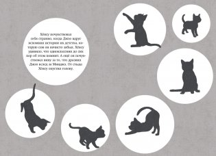 Магазин теней «Лунный свет». Книга 2. Кошка в стеклянной бутылке фото книги 10