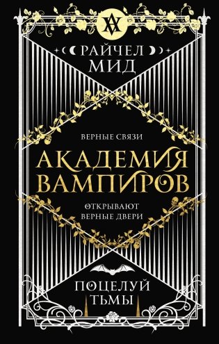 Академия вампиров. Книга 3. Поцелуй тьмы фото книги