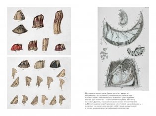 Происхождение видов путем естественного отбора фото книги 5
