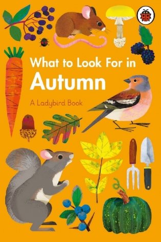 What to Look For in Autumn фото книги