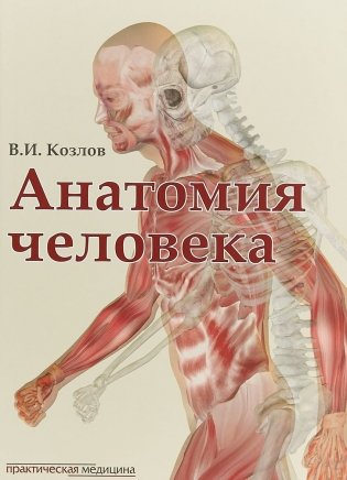 Анатомия человека фото книги