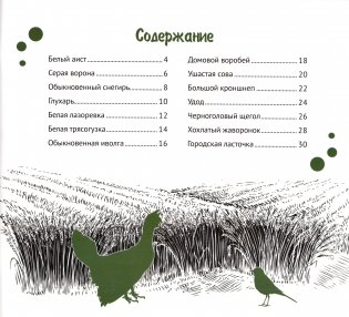 Белорусские птицы. Серия "Планета животных" фото книги 4