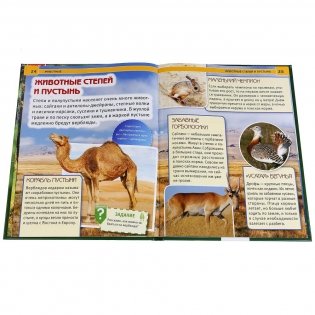 Животные фото книги 2