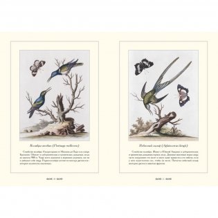 Зоологический альбом фото книги 6