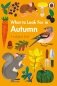 What to Look For in Autumn фото книги маленькое 2