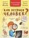 Как устроен человек? Энциклопедия с окошками фото книги маленькое 2