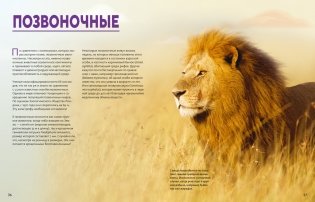 Огромная энциклопедия животных мира фото книги 8