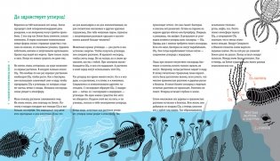 Пальмы на Северном полюсе. Большой рассказ об изменении климата фото книги 7