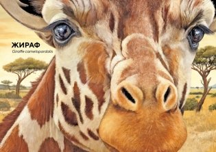 Животные Африки в натуральную величину фото книги 2