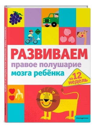 Развиваем правое полушарие мозга ребенка за 12 недель фото книги 2
