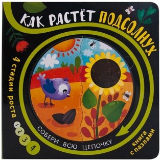 Как растет подсолнух фото книги