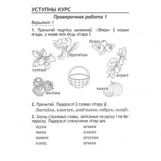 Беларуская мова. 2 клас. Праверачныя i кантрольныя работы фото книги 6