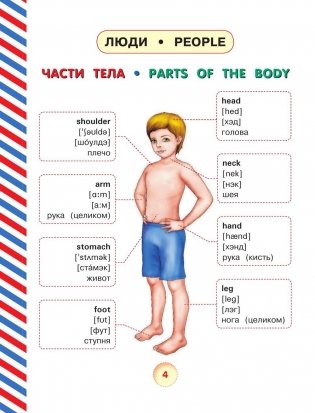 Английский словарь для малышей в картинках фото книги 5