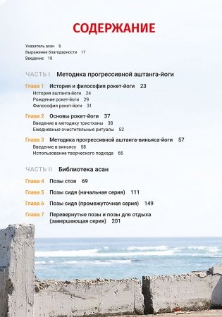 Рокет-йога: Руководство по прогрессивной аштанга-виньяса-йоге фото книги 2