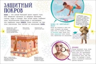 Человек. Гигантская энциклопедия для самых маленьких фото книги 2