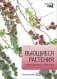 Вьющиеся растения фото книги маленькое 2