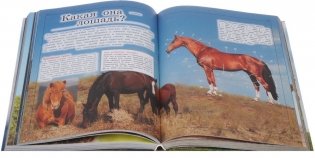 Большая детская энциклопедия обо всем на свете фото книги 3