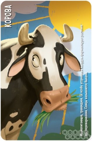 Similo: Животные. Логичные звери фото книги 4