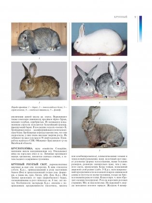 Ветеринарная энциклопедия. Том 2. К-Я фото книги 3