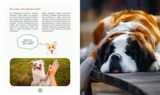 Я и моя собака. Как понять питомца и стать ему другом фото книги 5