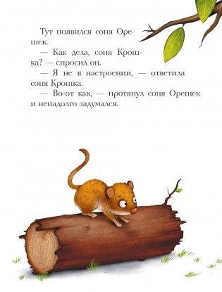 История маленькой сони, которая весь день была не в духе фото книги 4