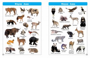 Все-все животные фото книги 6