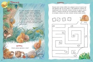 Кто живёт на опушке? Книжка-активити с развивающими заданиями, головоломками, наклейками фото книги 4