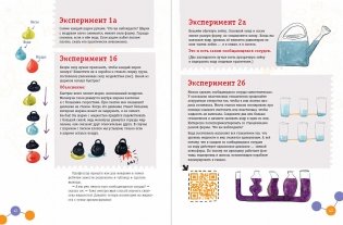 Наука для детей. Как издать научный журнал, если ты енот фото книги 6