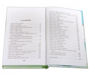 Серебряные коньки фото книги 6