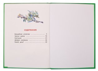 Волшебная иголочка фото книги 3