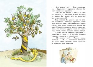 Тафити и летающая корзина фото книги 4