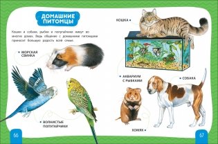 Любимая энциклопедия малыша фото книги 2