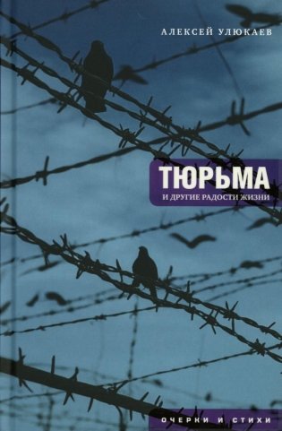 Тюрьма и другие радости жизни: очерки и стихи фото книги