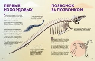 Огромная энциклопедия животных мира фото книги 9