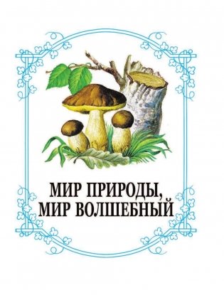 Родничок. Книга для внеклассного чтения. 3 класс фото книги 12