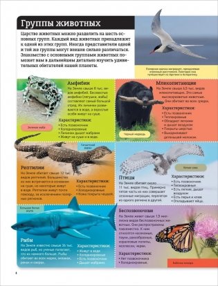 Детский атлас. Животные мира фото книги 3