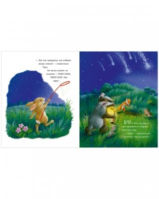 Самая звёздная ночь фото книги 11