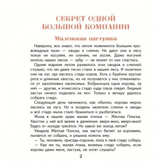 Секрет одной большой компании. Серия «Сказки птиц и зверей» фото книги 2