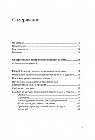 Внутренние семейные системы: терапия зависимостей фото книги 2