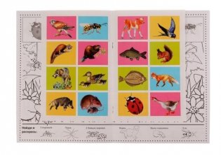 Кто где живёт? Раскраска "Найди и раскрась" с наклейками фото книги 3