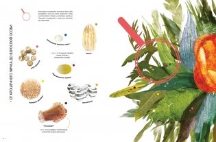 Насекомые в натуральную величину фото книги 5