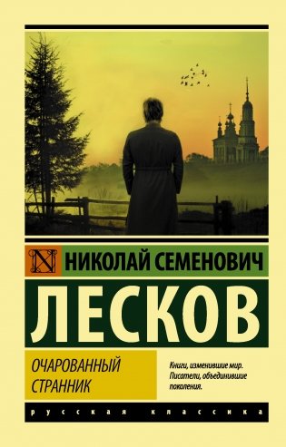 Очарованный странник фото книги