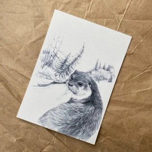 Открытка "Иду по тайге. Выдра" фото книги 2